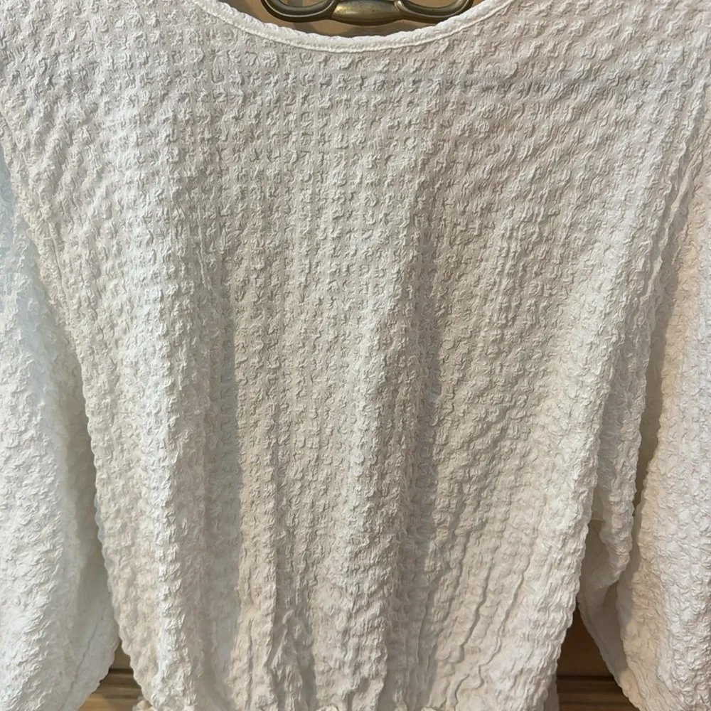 Free People Crinkle Puff Sleeve Textured Top